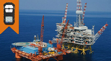 Portable Multi Gas Detector